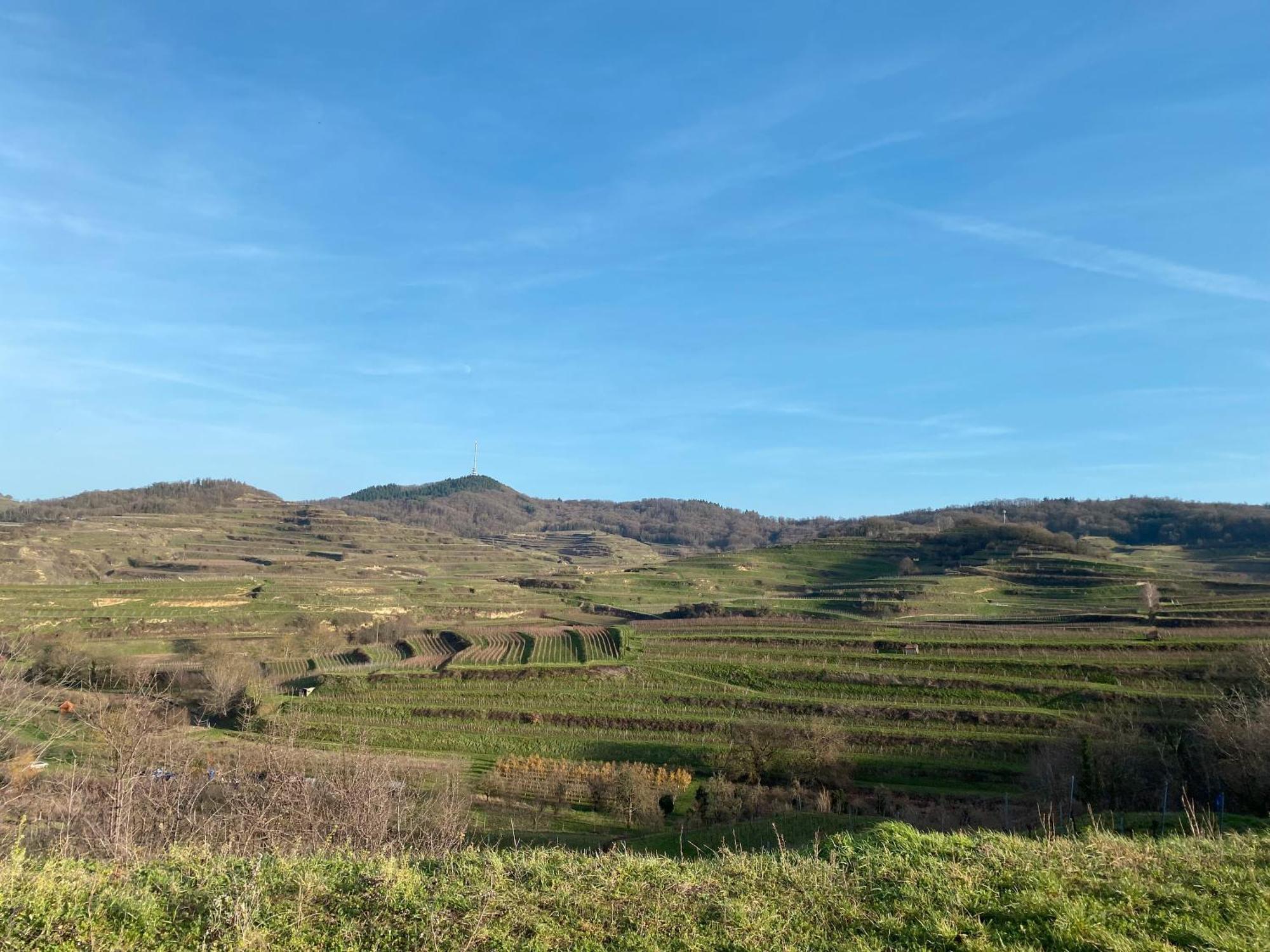 Winzerhof Bitzenhofer Διαμέρισμα Vogtsburg Εξωτερικό φωτογραφία